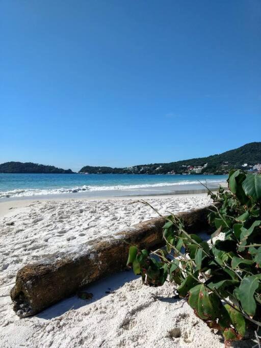 Apto Vista Mar -250Mts Da Praia 봄비나스 외부 사진